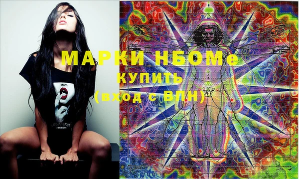 стаф Аркадак