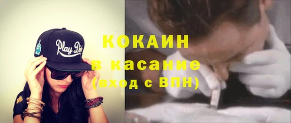 стаф Аркадак
