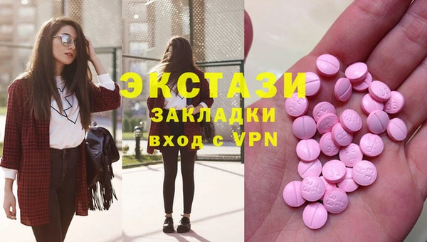 стаф Аркадак