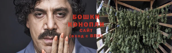 стаф Аркадак