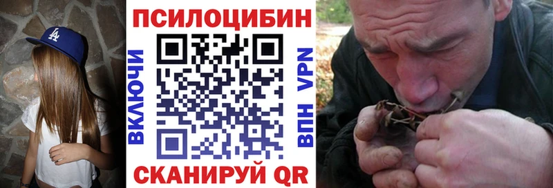 Псилоцибиновые грибы Cubensis  Малмыж 